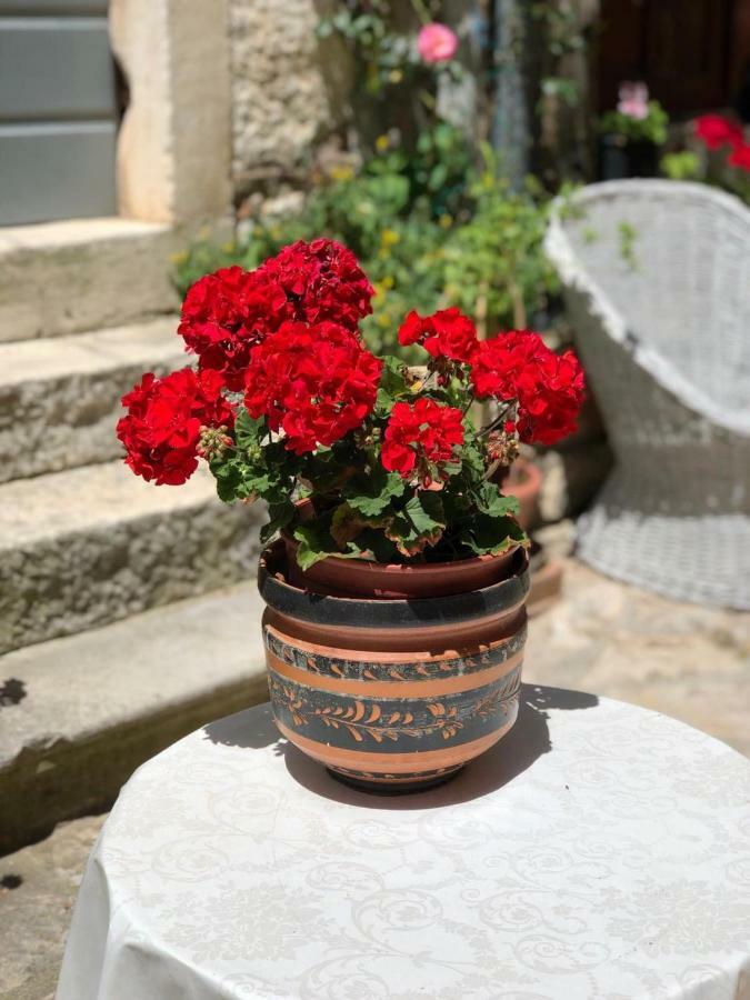 Monte B. Exclusive Apartment Rovinj Exterior foto